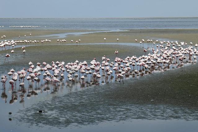 Walvis Bay